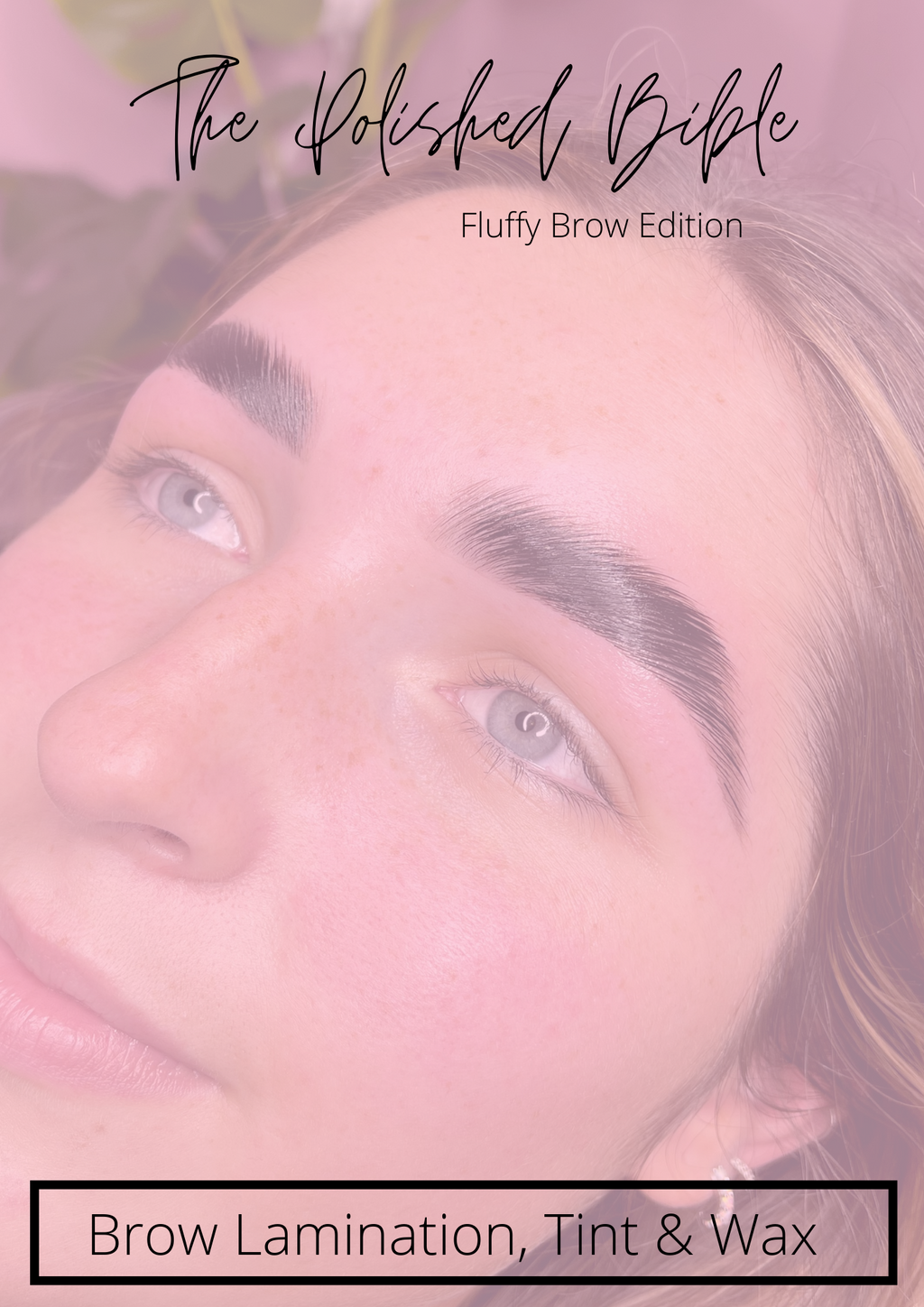 Online Ultimate Brow Artistry Course